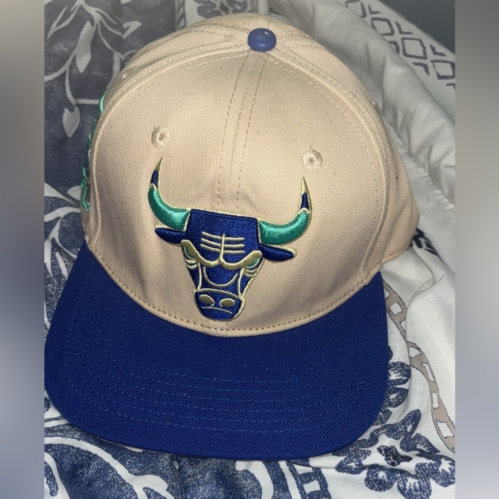 Chicago bulls SnapBack